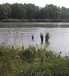 nf_285942820_74fd22a2934e542f6f7e9632876087e6.jpg
