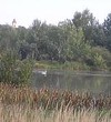 nf_285942880_2c5488cc8565a2a498aea8c2356fd000.jpg
