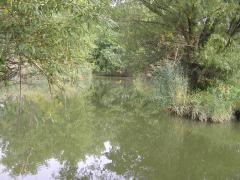 mini_BR_122902642627.jpg