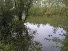 mini_BR_122902641793.jpg