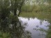 mini_BR_122902641793.jpg