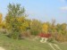 mini_BR_122902640897.jpg